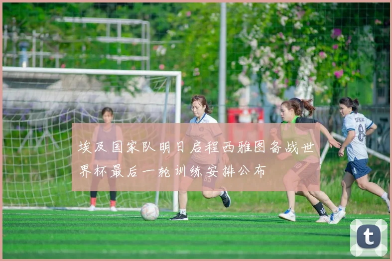 埃及国家队明日启程西雅图备战世界杯最后一轮训练安排公布