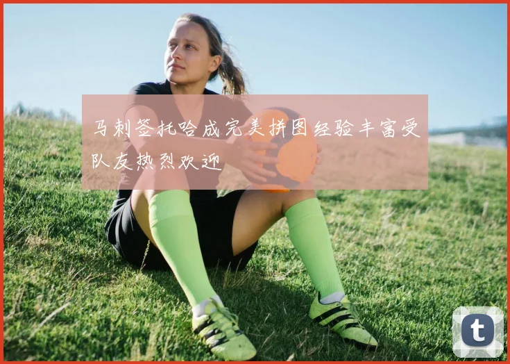 马刺签托哈成完美拼图经验丰富受队友热烈欢迎