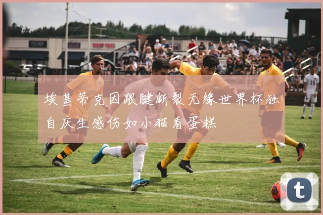 埃基蒂克因跟腱断裂无缘世界杯独自庆生感伤如小猫看蛋糕